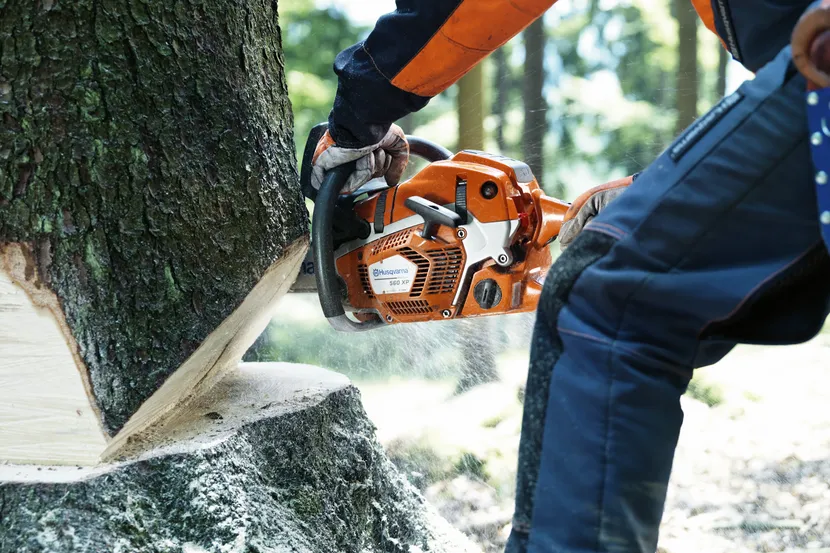 Husqvarna Chainsaw 562 XP