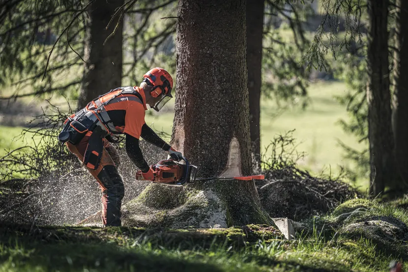 Husqvarna Chainsaw 572 XP
